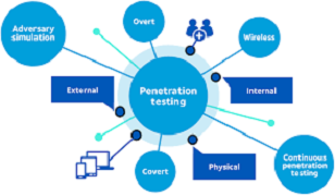 penetration testing company